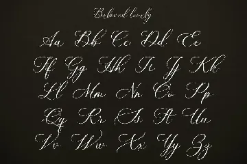 Beloved Lovely | Modern Calligraphy font