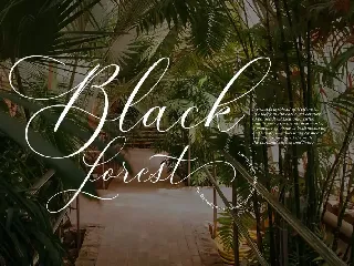 Beloved Lovely | Modern Calligraphy font