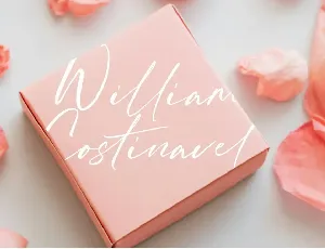 William Costinavel Script Font