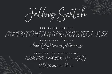 Jellovy Switch Script Font