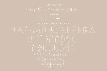 Jelystta Modern Script Font