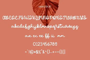 Roscheefs Script Font