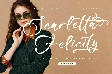 Nelsonlla Smithran Modern Brush Font