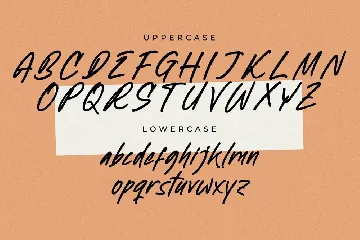 Newtonick Chodes Display Handbrush font