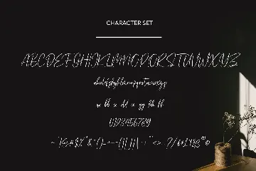 Sallymoores Signature Brush Font