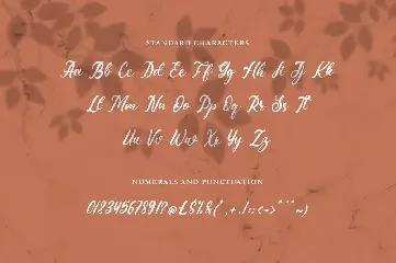 Savilista - Elegant Font