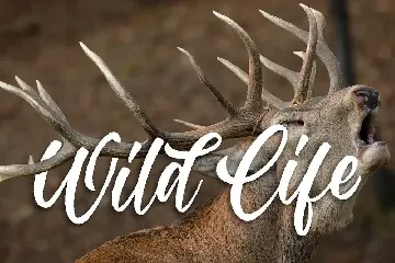 Reglest a Natural Handlettering Font