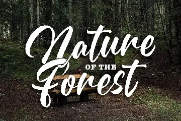 Reglest a Natural Handlettering Font