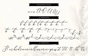 Dellaine | A Carefully Handcrafted Script Font