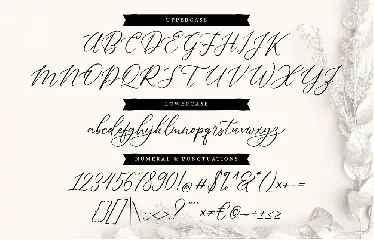 Dellaine | A Carefully Handcrafted Script Font