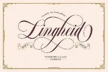 Bordemile - Luxury Script font