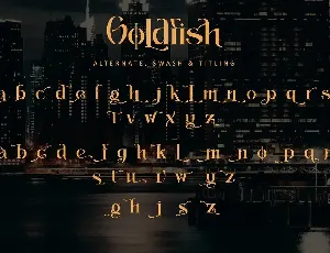 Goldfish font