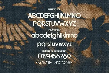 Bekmonz - Sans Serif Font