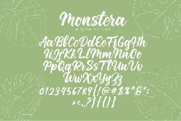 Monstera font