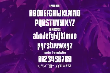 Hejokil - Sans Serif Font