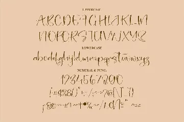 Delinsta Handwritten Script Font