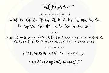 Vellissa font