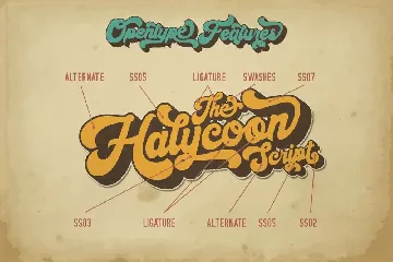 Halycoon | Retro Bold Script font