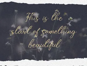 Zarkafi - The Beauty Script Font