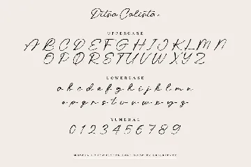 Ditsa Calista font