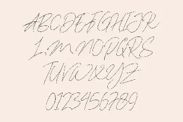 Dallem Signature font