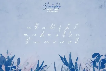 Chuckybits Fancy Signature Script Font