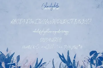 Chuckybits Fancy Signature Script Font