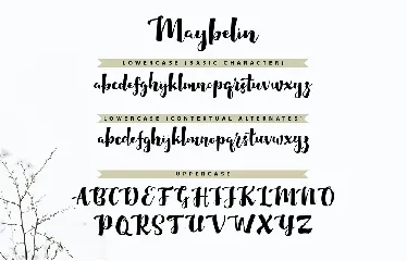 Maybelin | Unique Handcrafted Script Font