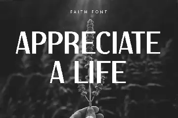 Faith - Modern Elegant Sans Serif font