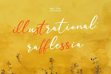 Funtasty Script Font