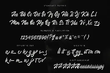 Wakanda Script Business Font