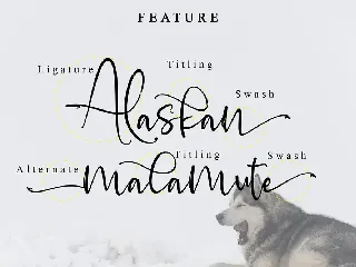 Alaskan malamute font