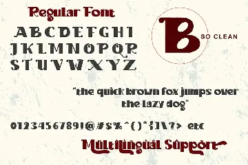 Brilliant Fighter font