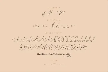 Bolchanitas Voligate Chic Calligraphy Font