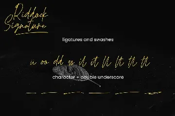 Modern Elegant Signature font