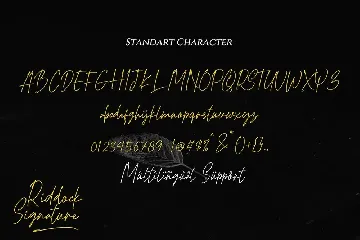 Modern Elegant Signature font