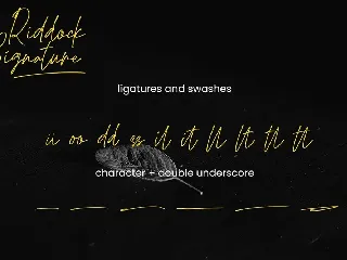 Modern Elegant Signature font