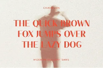 Chamelon - Modern Elegant Sans Serif font