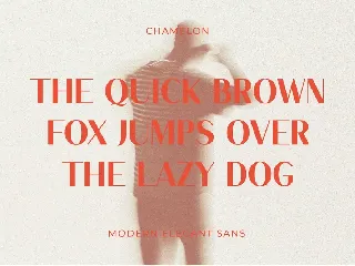 Chamelon - Modern Elegant Sans Serif font