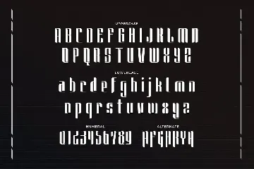 Saunders - Unique Display Font