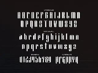 Saunders - Unique Display Font