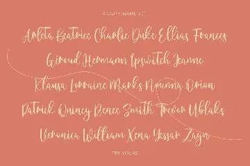 Montly Cloudy Beauty Script font