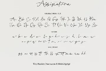 Assinatura font