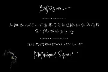 Bittersoni font