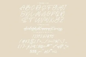 Fatiha Monoline Script Font