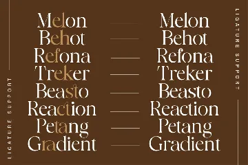 Modern Serif Font