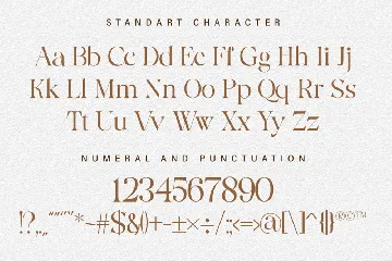 Modern Serif Font