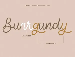 Tiffanky Monoline Cursive Font