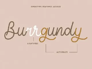 Tiffanky Monoline Cursive Font