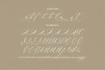 Amsterdam Belmonteria Script Font